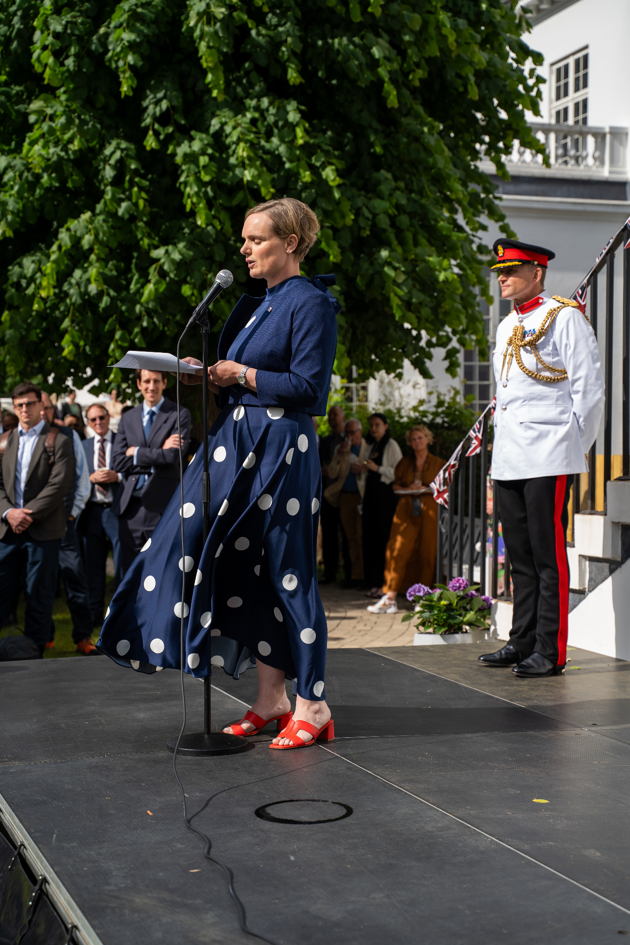 British Embassy reception speech